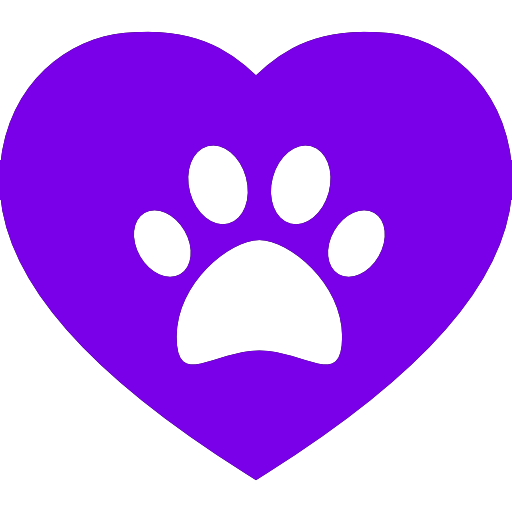 Top Austin Veterinarians: A Trusted Guide for New Pet Owners