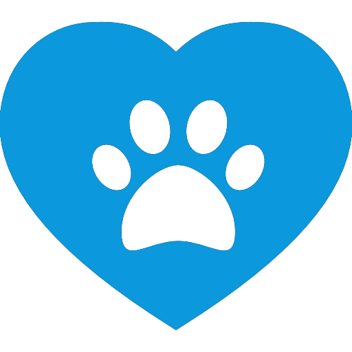 Top Austin Veterinarians: A Trusted Guide for New Pet Owners