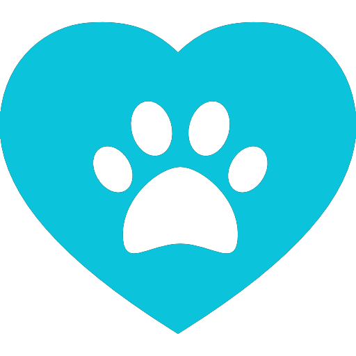 Top Austin Veterinarians: A Trusted Guide for New Pet Owners