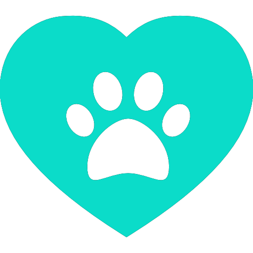Top Austin Veterinarians: A Trusted Guide for New Pet Owners