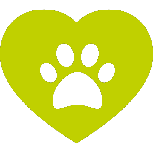 Top Austin Veterinarians: A Trusted Guide for New Pet Owners