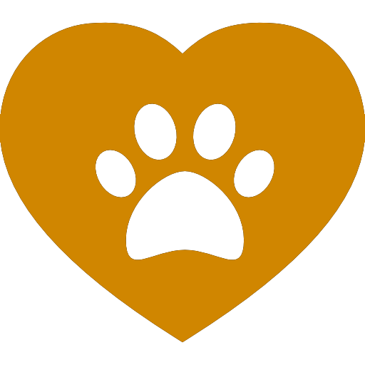 Top Austin Veterinarians: A Trusted Guide for New Pet Owners