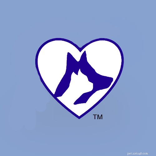 Top 16 Trusted Veterinarians in Chicago, IL – Expert Care for All Pets