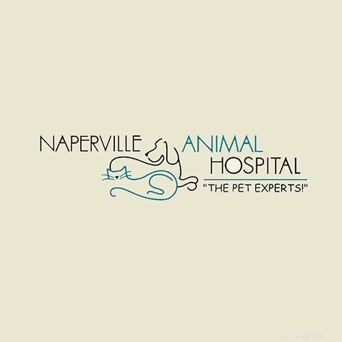 Top 16 Trusted Veterinarians in Chicago, IL – Expert Care for All Pets