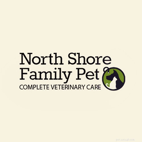 Top 16 Trusted Veterinarians in Chicago, IL – Expert Care for All Pets