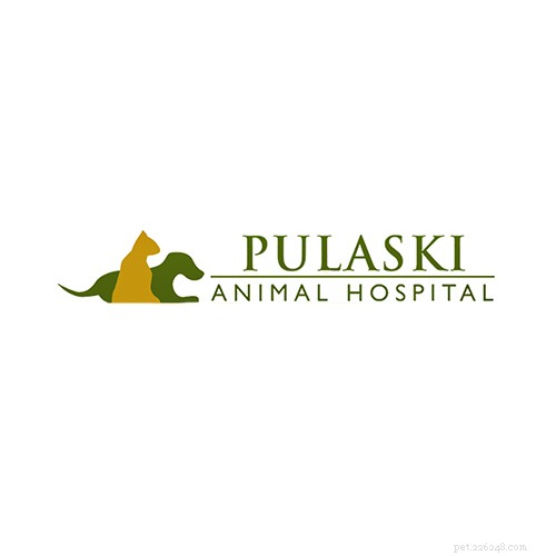 Top 16 Trusted Veterinarians in Chicago, IL – Expert Care for All Pets
