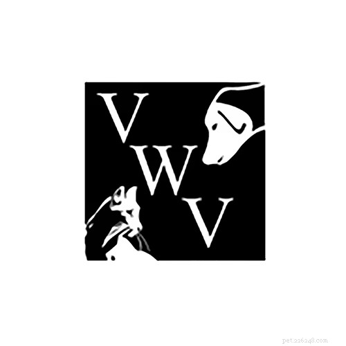 Top 16 Trusted Veterinarians in Chicago, IL – Expert Care for All Pets