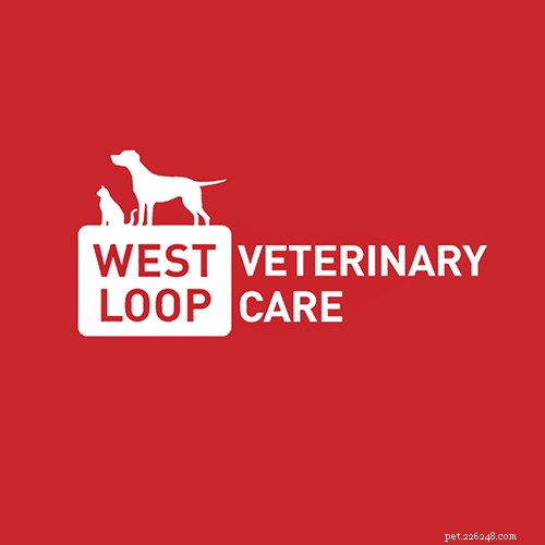 Top 16 Trusted Veterinarians in Chicago, IL – Expert Care for All Pets