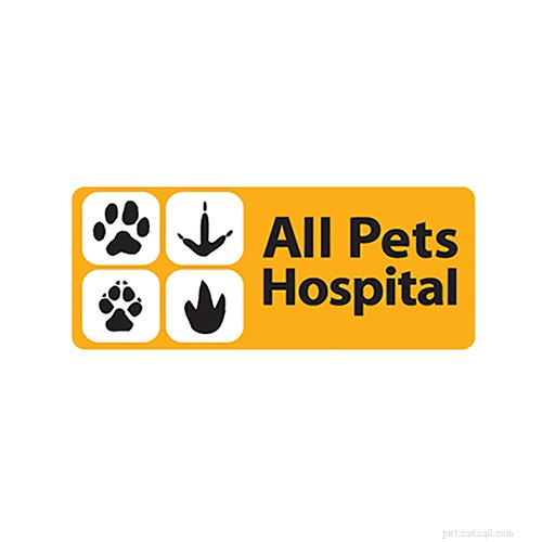 Top Veterinarians in San Francisco: Find the Best Care for Your Pets