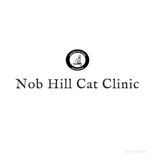 Top Veterinarians in San Francisco: Find the Best Care for Your Pets