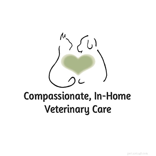Top Veterinarians in San Francisco: Find the Best Care for Your Pets