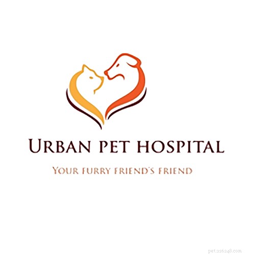 Top Veterinarians in San Francisco: Find the Best Care for Your Pets