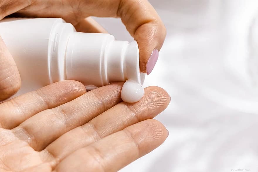 Ringworm Prevention & Treatment: A Guide for You & Your Pet