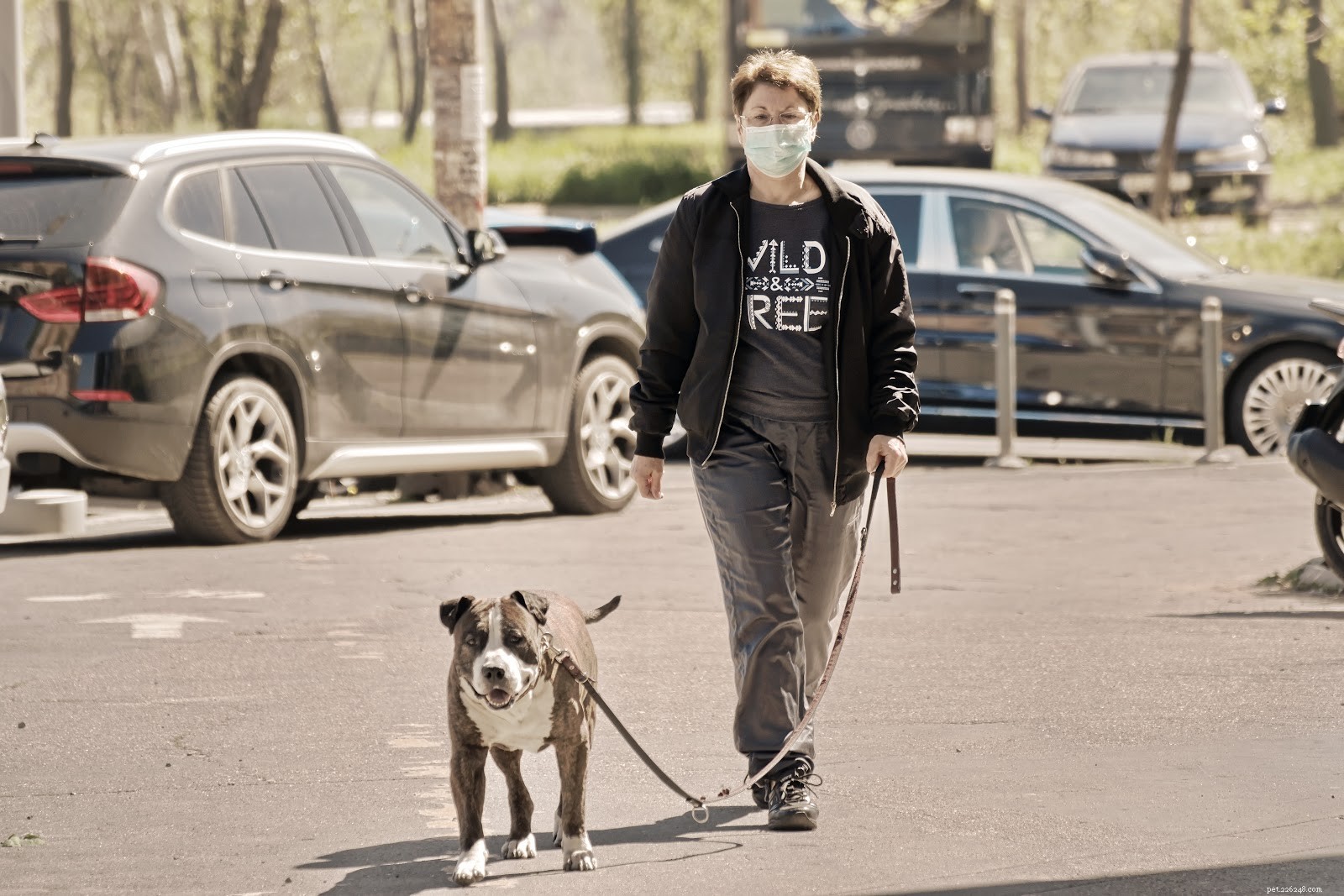 Guidelines for Safely Caring for Your Pet During COVID-19 Quarantine