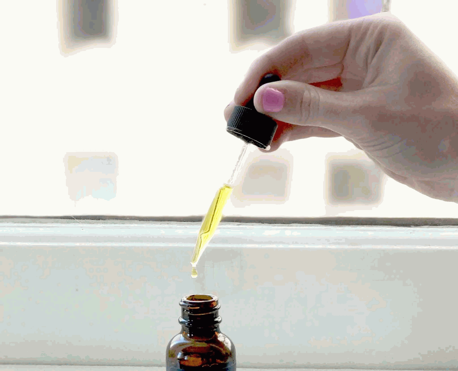 Is CBD Oil Safe for Pocket Pets? Vet-Approved Insights