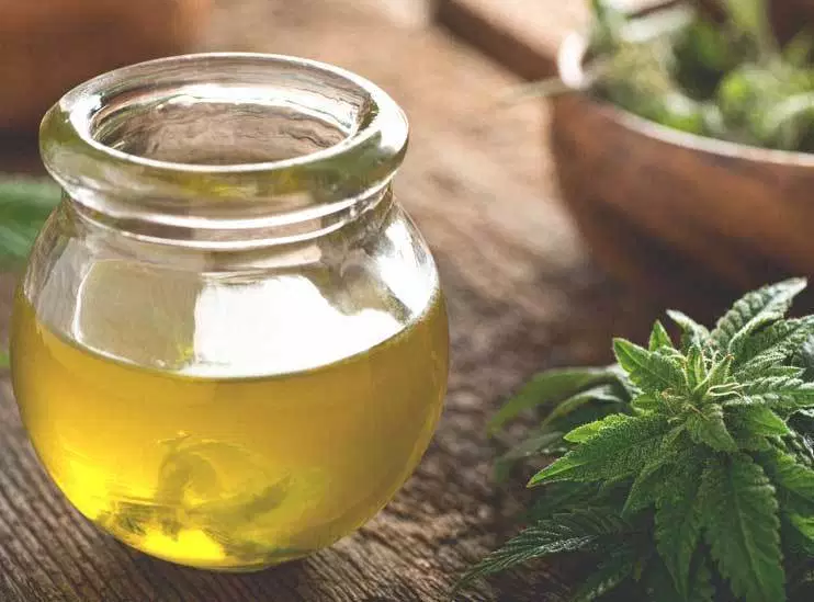 Complete Guide to CBD Oil for Pets: Benefits, Safety, and Legal Insights