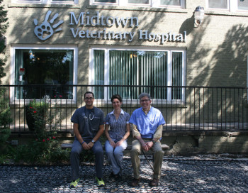 Reduce Vet Stress: Expert Tips for Pet Owners in Houston