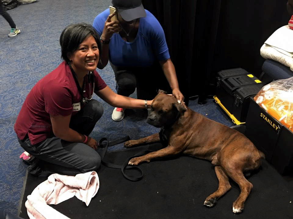 Reduce Vet Stress: Expert Tips for Pet Owners in Houston