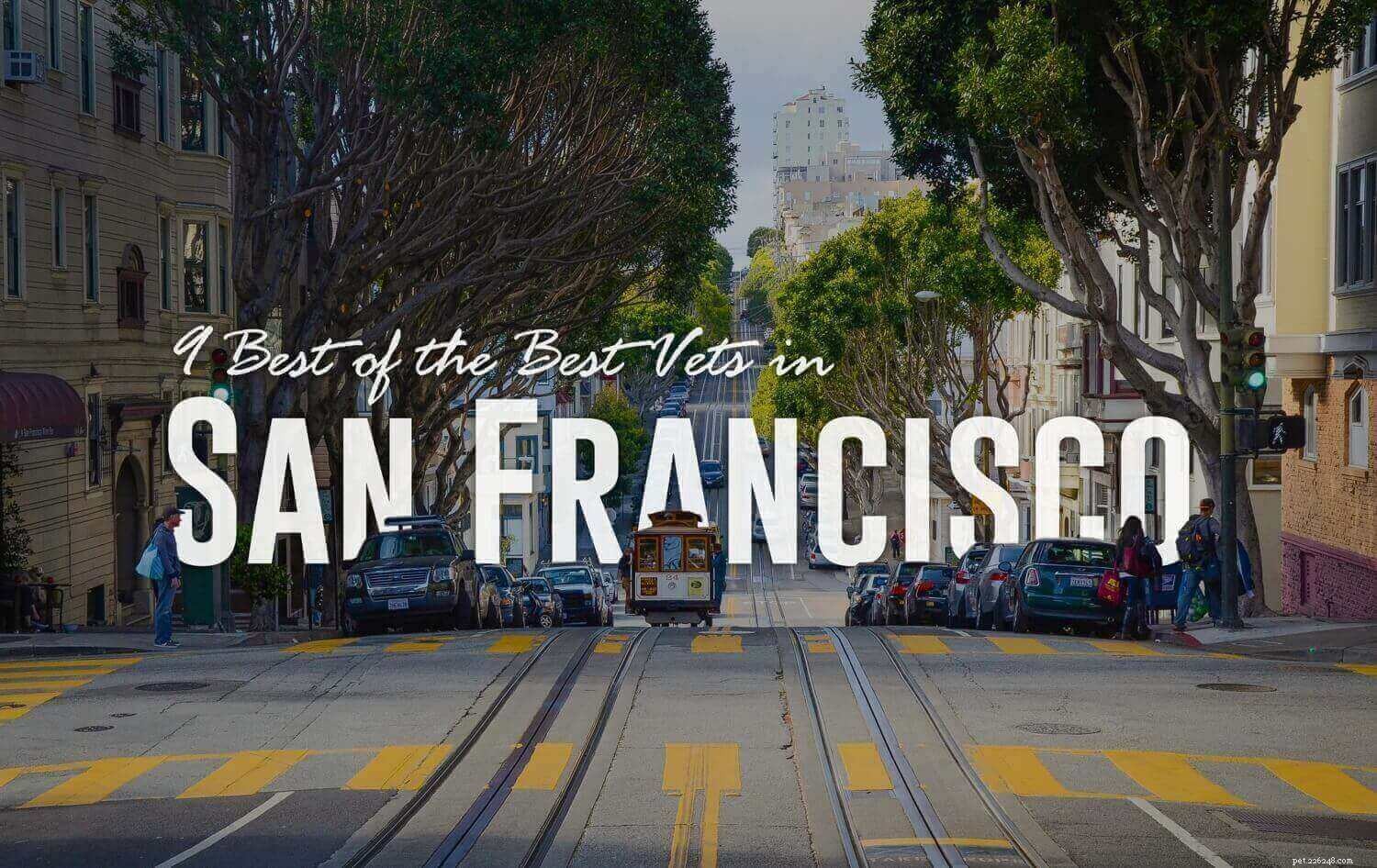 San Francisco s Top 9 Veterinary Clinics for Your Pet