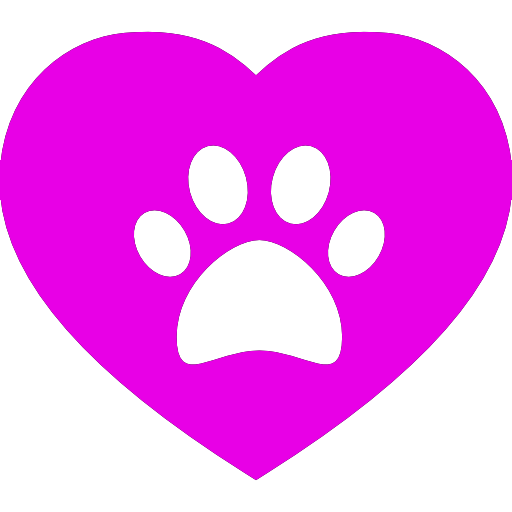 San Francisco s Top 9 Veterinary Clinics for Your Pet