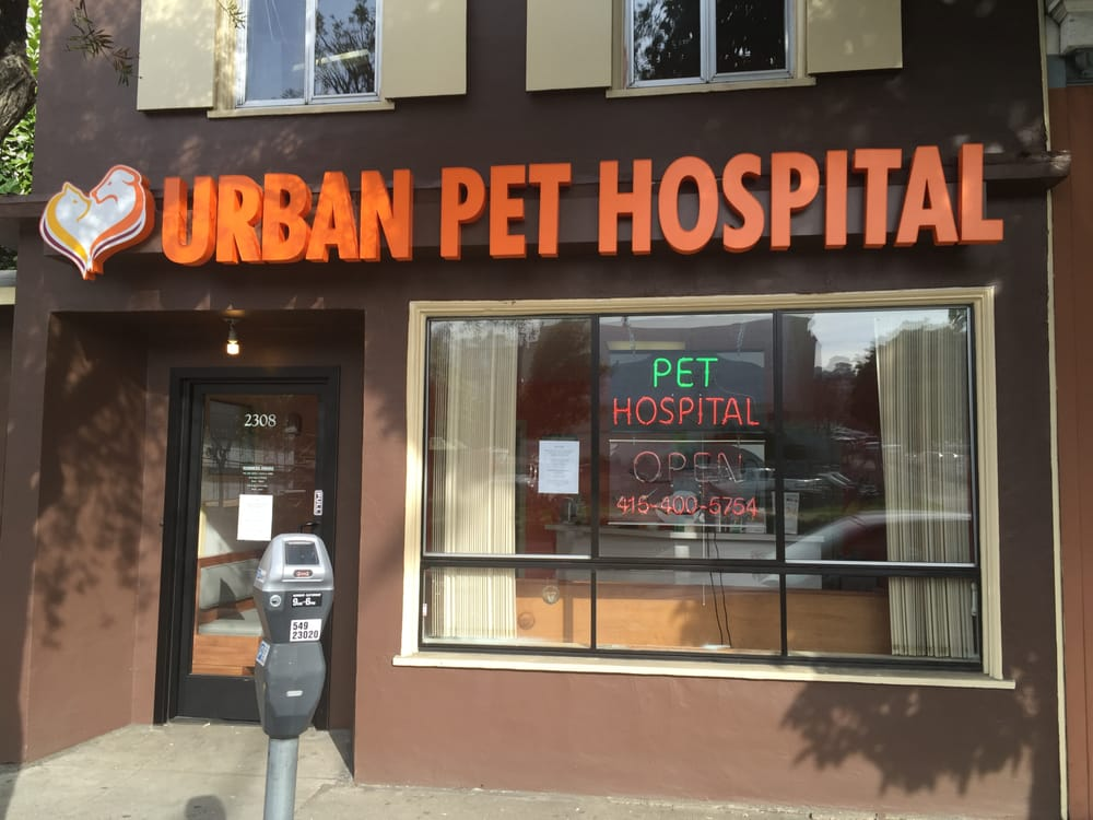 San Francisco s Top 9 Veterinary Clinics for Your Pet
