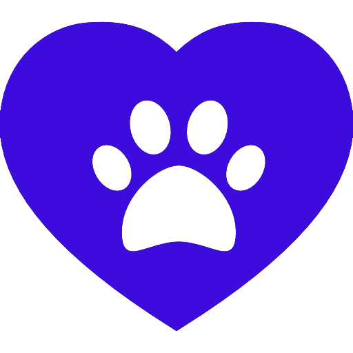 San Francisco s Top 9 Veterinary Clinics for Your Pet