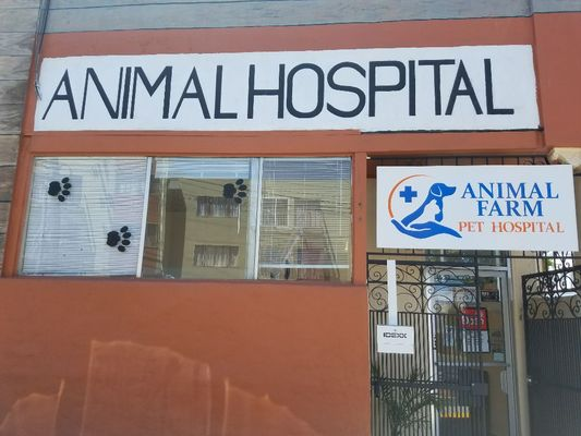 San Francisco s Top 9 Veterinary Clinics for Your Pet