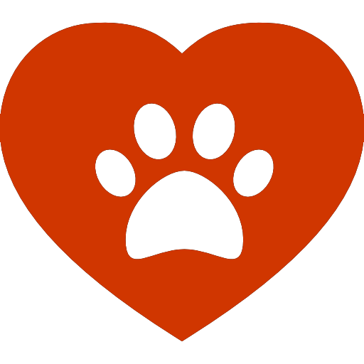 San Francisco s Top 9 Veterinary Clinics for Your Pet
