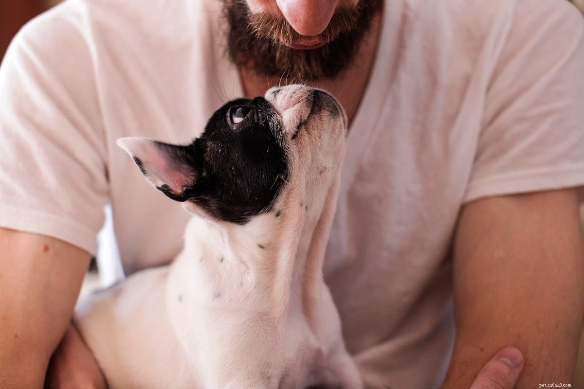 Essential Gifts for New Dog Owners: Boosting Comfort & Confidence