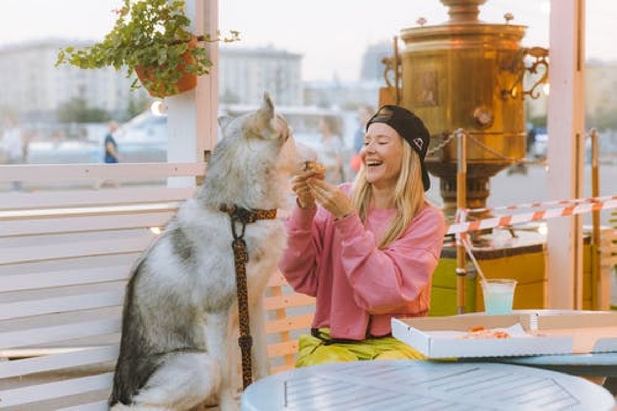 Essential Gifts for New Dog Owners: Boosting Comfort & Confidence