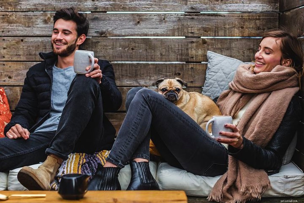 Essential Gifts for New Dog Owners: Boosting Comfort & Confidence