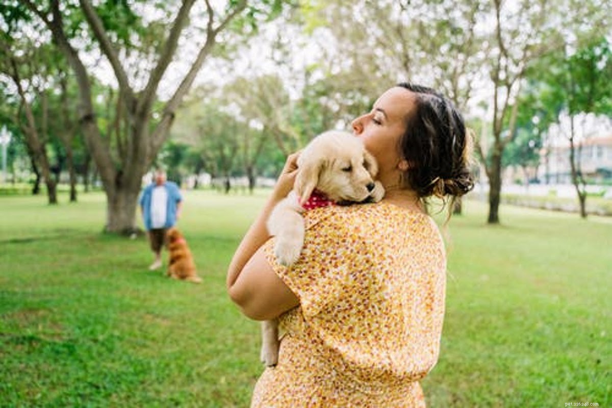 How to Remove Mites from Your Dog: A Comprehensive Guide