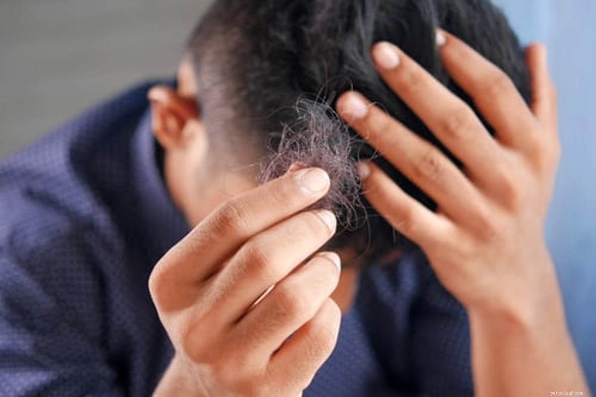 Understanding Canine Hair Loss: Causes, Symptoms & Solutions for Pet Owners