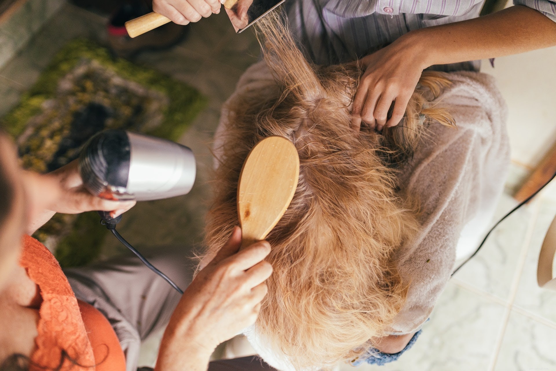 Preparing Your Dog for a Bath: Essential Steps for a Stress-Free Experience (Part 1)