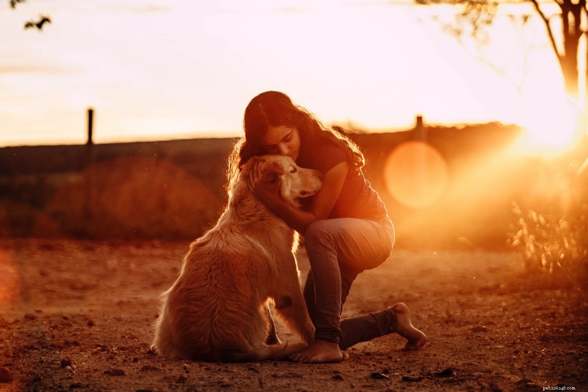 Building a Strong Bond with Your New Dog: A Step‑by‑Step Guide