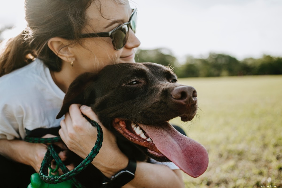 Building a Strong Bond with Your New Dog: A Step‑by‑Step Guide