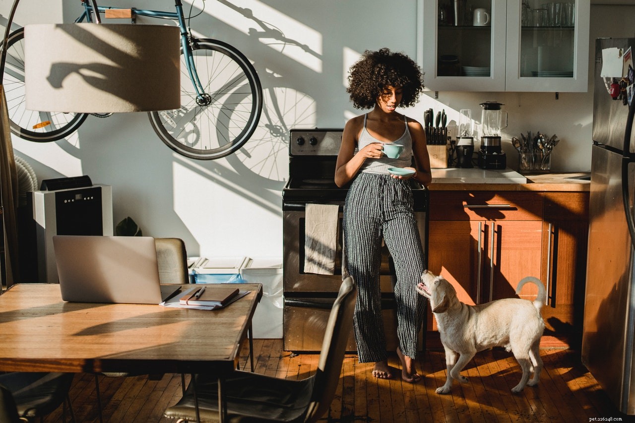 Cool & Healthy: 5 Homemade Dog Treat Recipes to Keep Your Pup Refreshingly Hydrated
