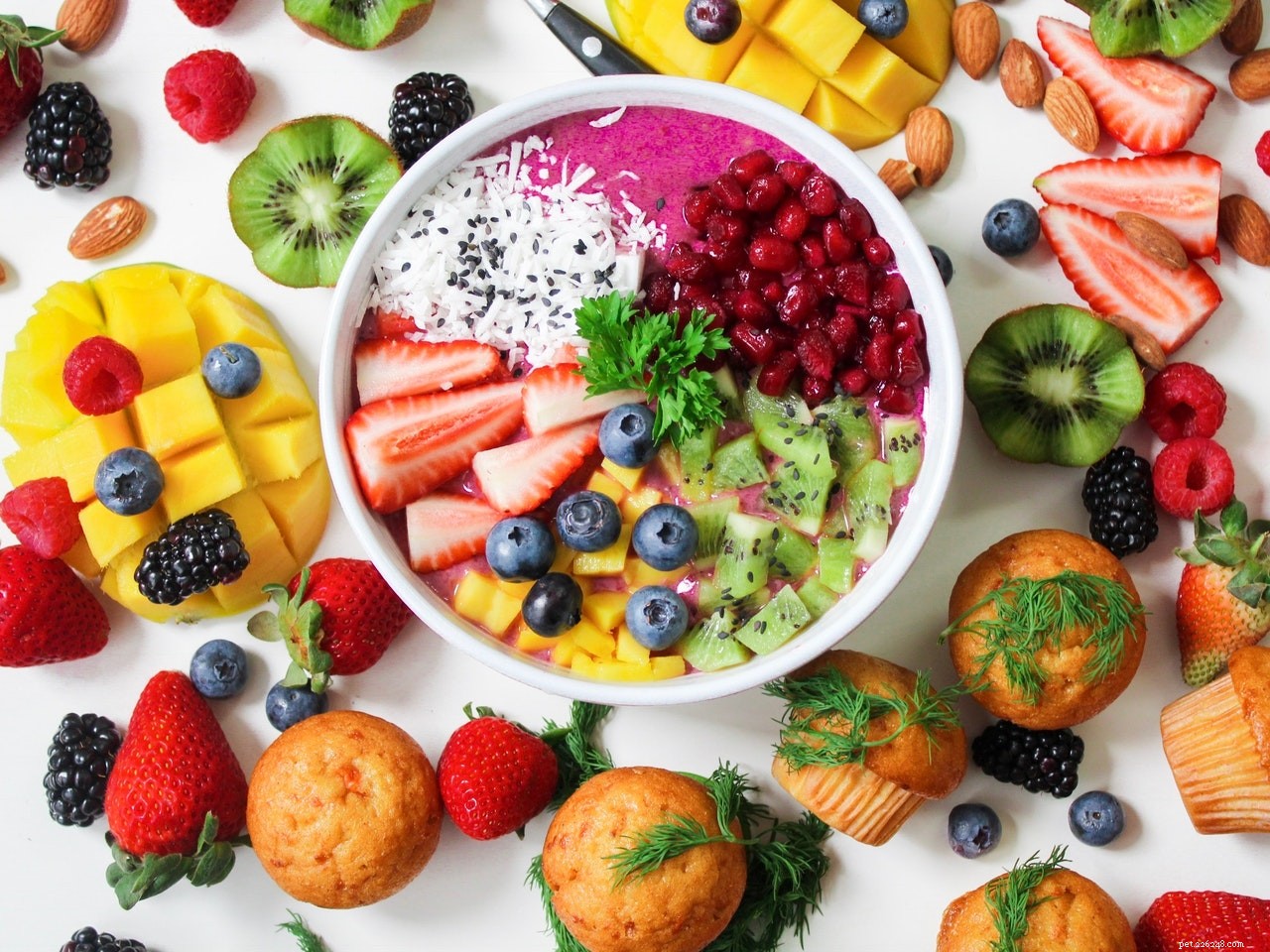 Cool & Healthy: 5 Homemade Dog Treat Recipes to Keep Your Pup Refreshingly Hydrated
