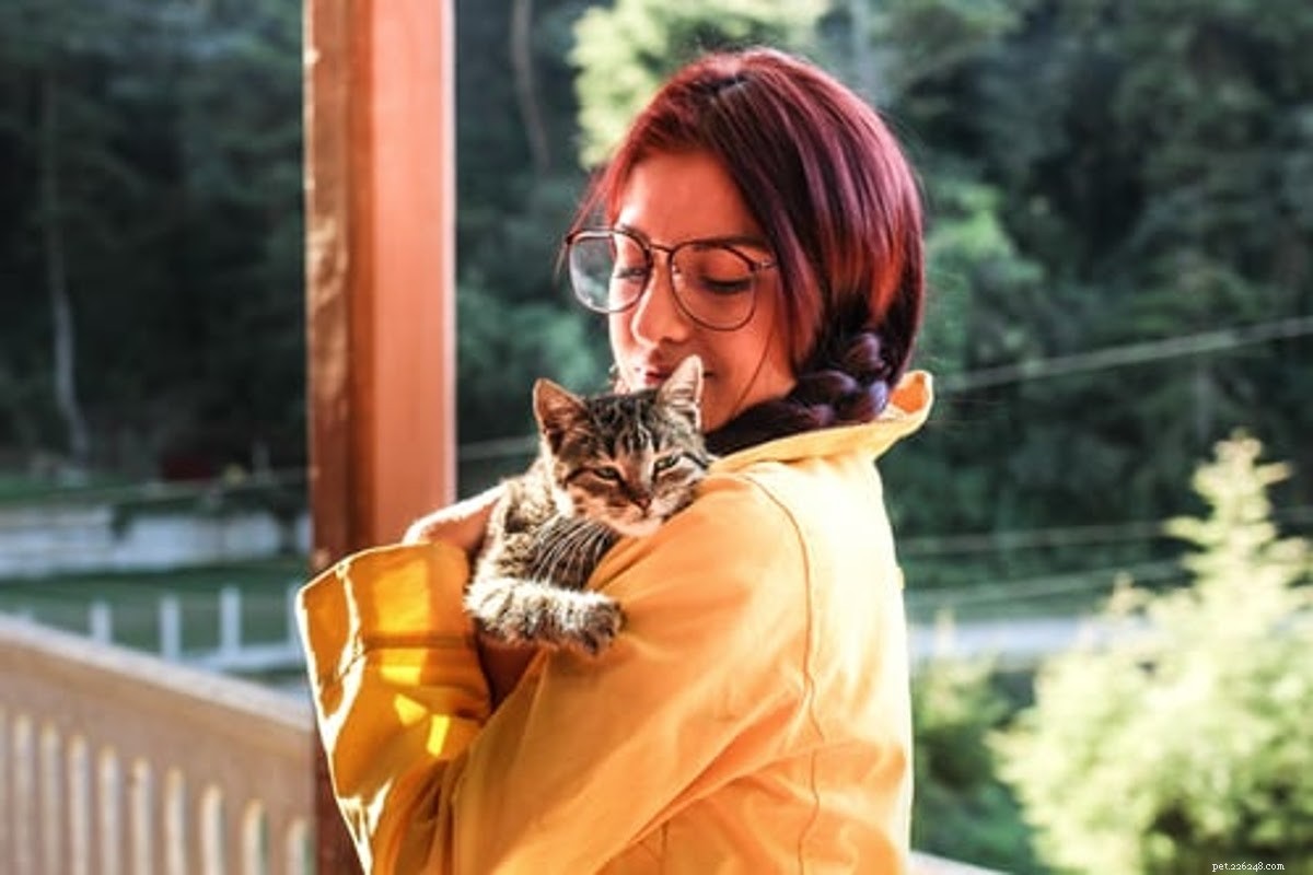 Essential Gift Guide for New Cat Owners