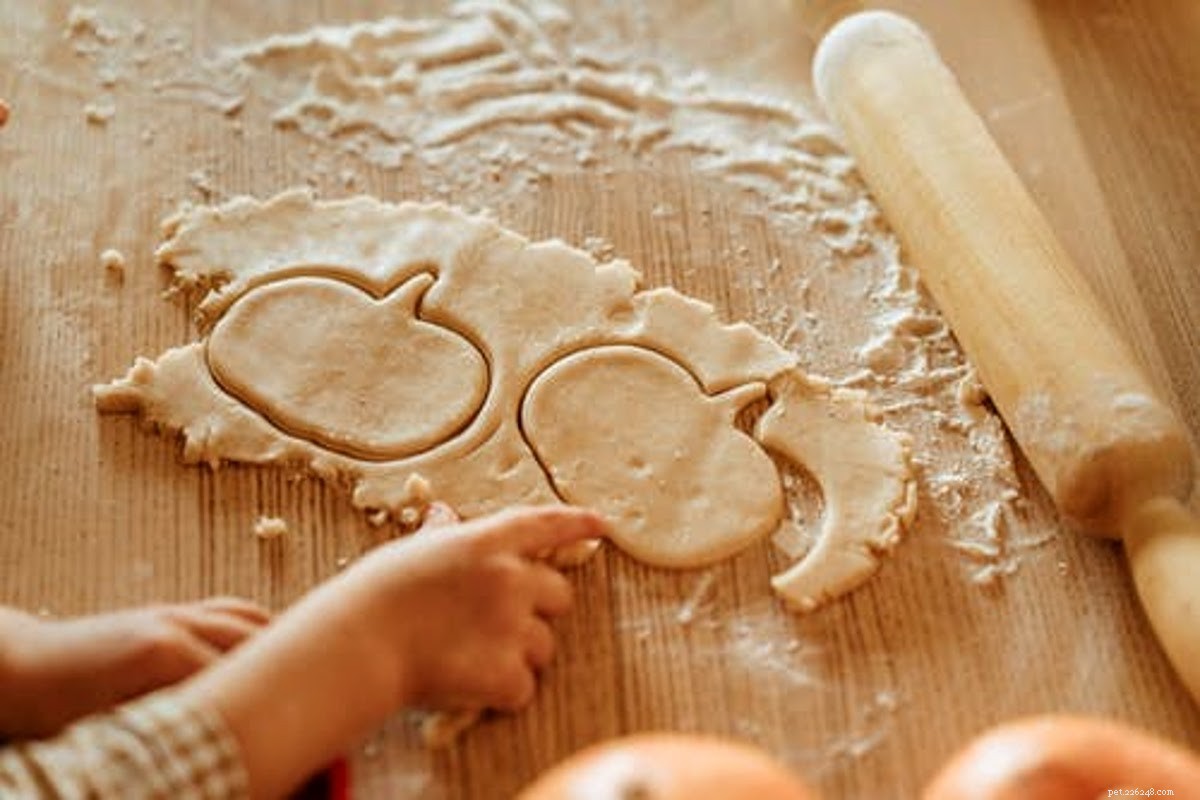 Is Turkey Safe for Dogs? Vet‑Approved Thanksgiving Menu Ideas for Pets