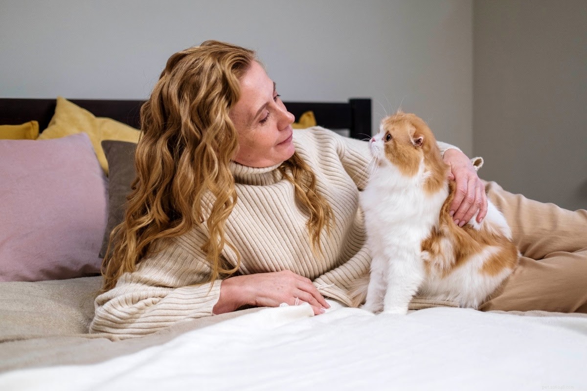 Building a Strong Bond with Your New Cat: Expert Tips for New Owners