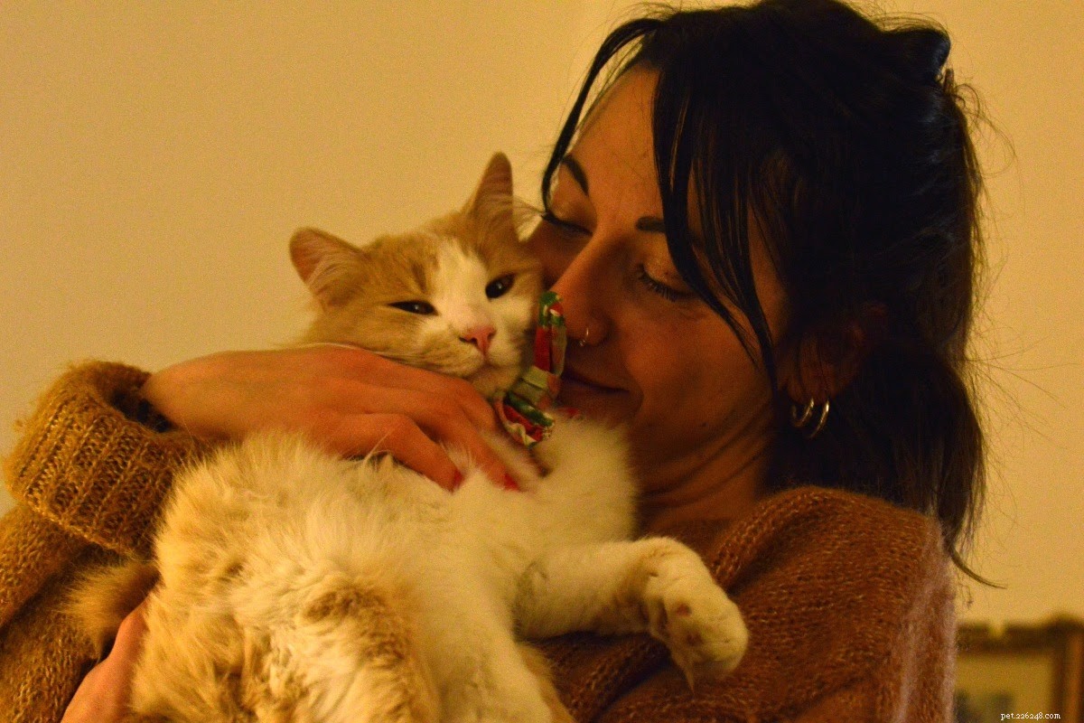 Building a Strong Bond with Your New Cat: Expert Tips for New Owners
