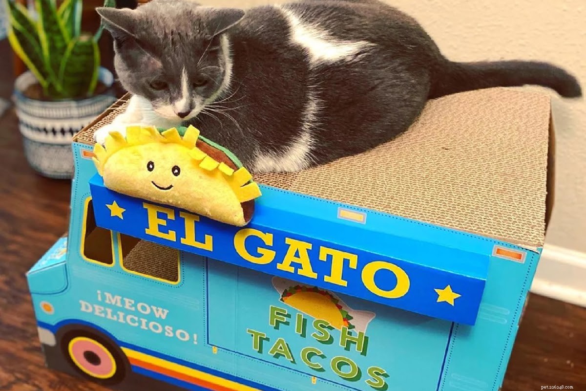 Delicious Cat-Friendly Fish Tacos: A Safe & Tasty Treat for Your Feline