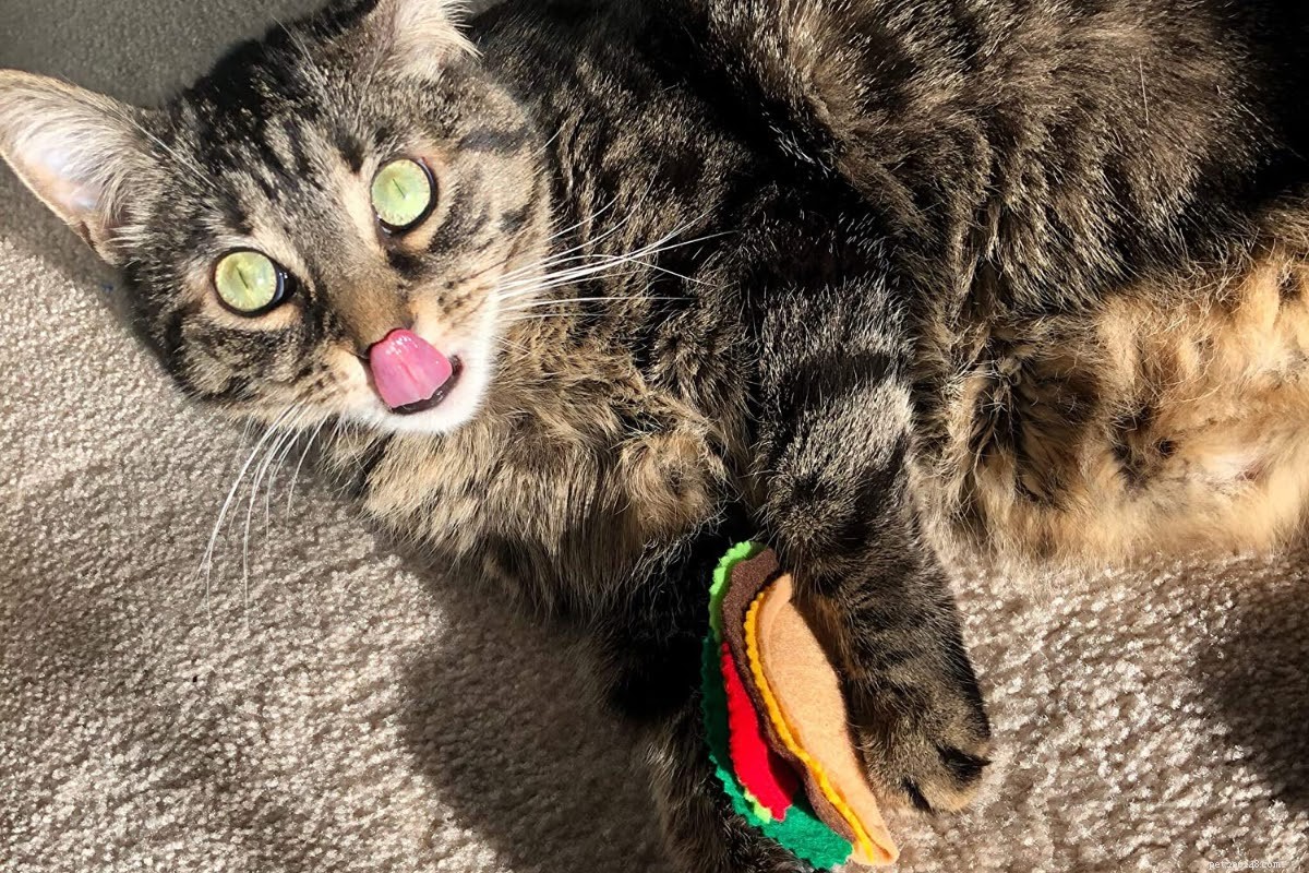Delicious Cat-Friendly Fish Tacos: A Safe & Tasty Treat for Your Feline