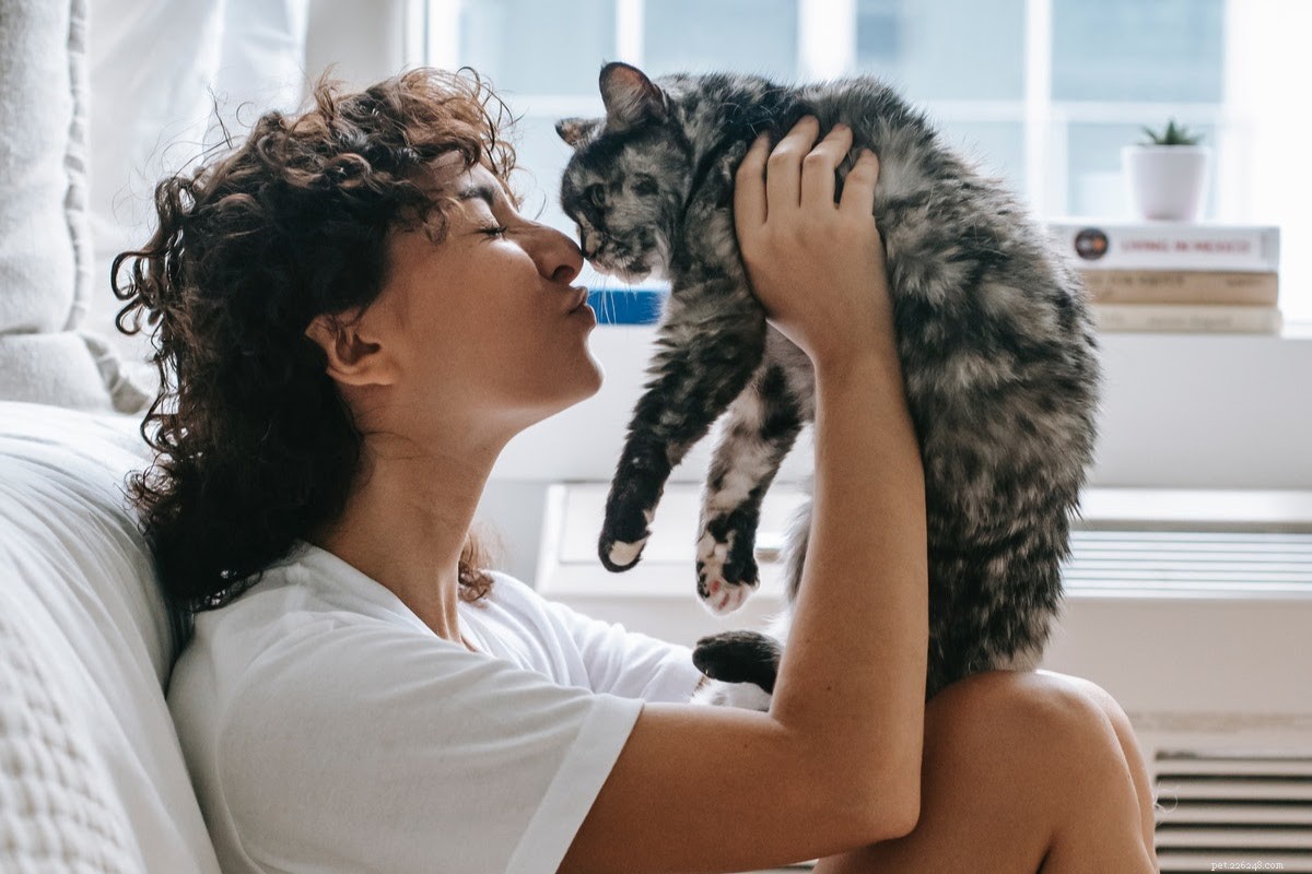 Delicious Cat-Friendly Fish Tacos: A Safe & Tasty Treat for Your Feline