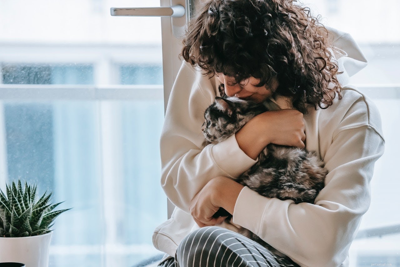 How to Identify and Address Cat Overgrooming for Better Health