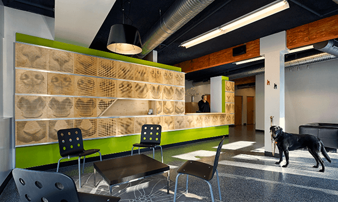 Find the Best Vet in Columbus, OH: Comprehensive Guide