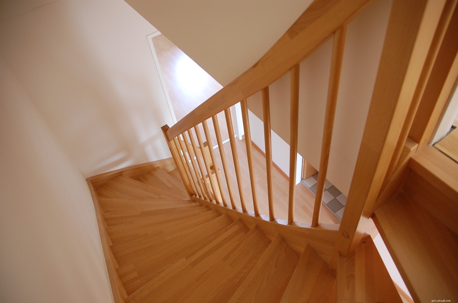 Secure Your Home: Expert Guide to Puppy-Proofing Stairs for Safety