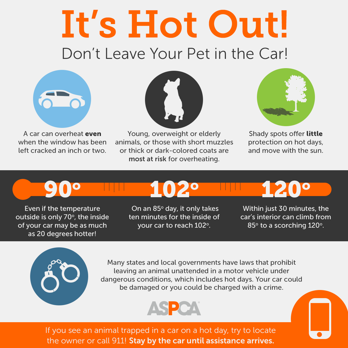 Keep Your Dog Safe This Summer: Expert Tips to Prevent Heatstroke