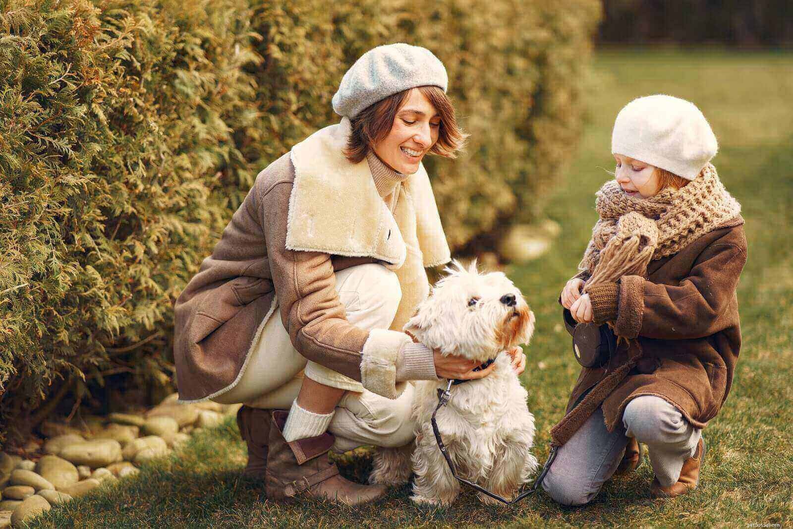Should You Adopt a Dog? Key Factors to Consider